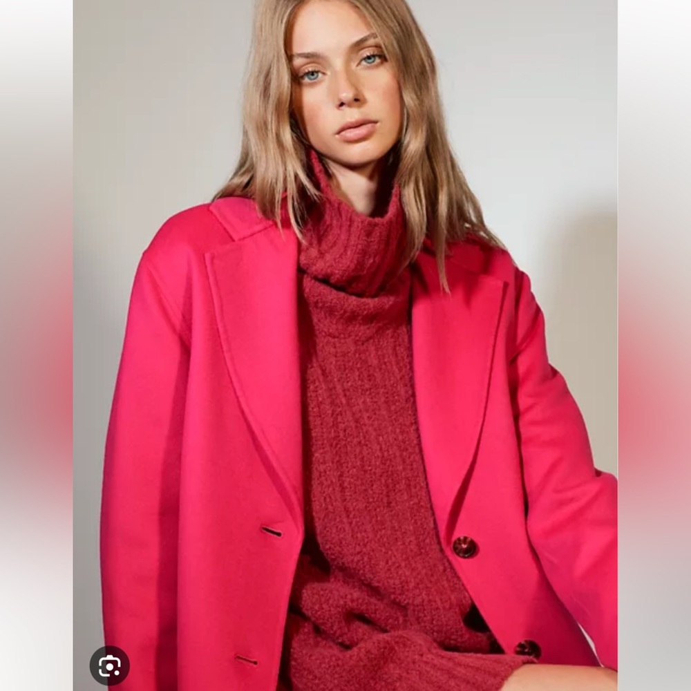 Aritzia Wilfred Le Fou Manteau Coat